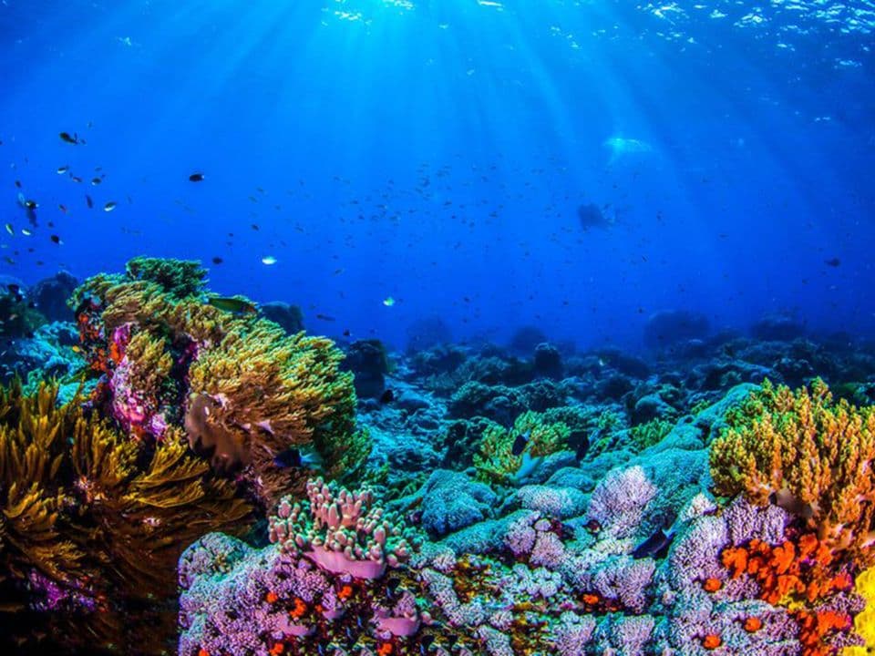 Aventuras y Parques Naturales en Veracruz Centro: Exploración al Aire Libre